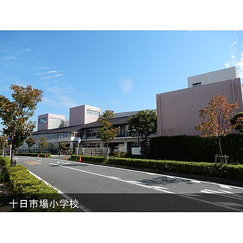 小学校「市立十日市場小学校まで230ｍ」