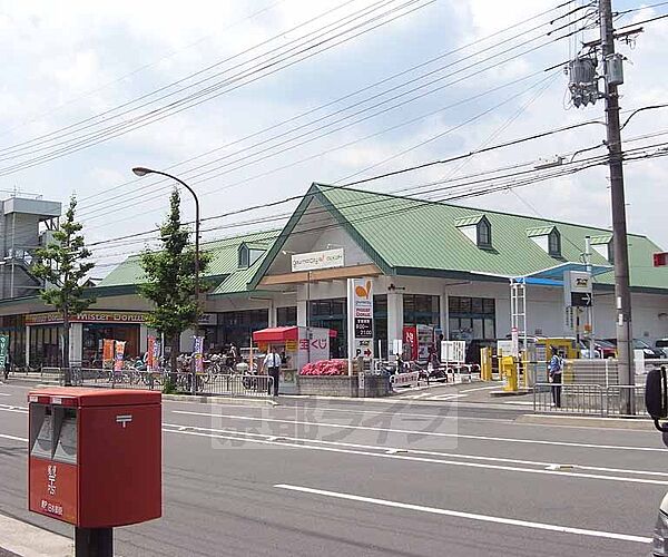 画像12:グルメシティ 嵯峨店まで344m 嵯峨嵐山駅から北へ丸太町通りを東にいった場所にあります。駐車場完備。