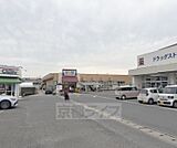 コープ 宇治神明まで1300m スーパーマーケット