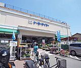 ケーヨーＤ2（デイツー） 西野山店まで1400m