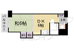 コスモSt河原町 6階/-