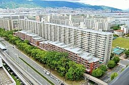 物件画像 エバーグリーンポートアイランド5号棟