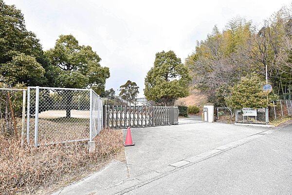 UR朝倉 ｜愛知県知多市つつじが丘1丁目(賃貸マンション1LDK・4階・39.03㎡)の写真 その19