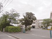 小学校「知多市立つつじが丘小学校まで427ｍ」南隣接