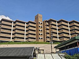 フローレンス名島
