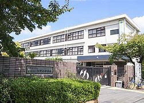 画像17:姫路市立白鷺小中学校
