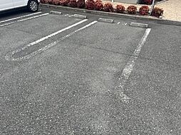 5 / 5