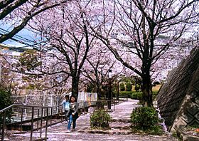 URもりつね  ｜ 福岡県北九州市小倉南区守恒3丁目（賃貸マンション2LDK・2階・65.09㎡） その19