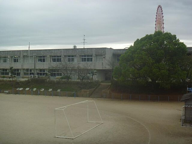 周辺 荒尾市川登1981-136