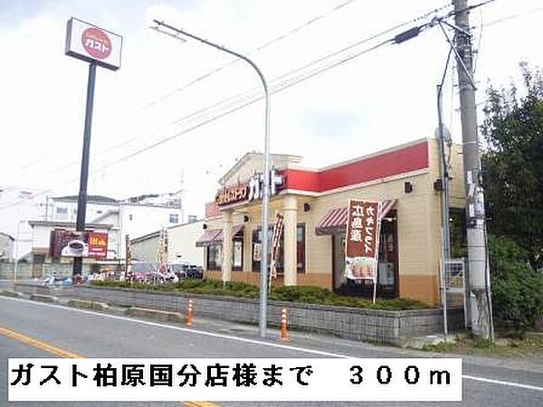 画像14:ガスト柏原国分店様まで300m