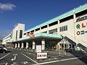 ライフ 菱江店（1043m）