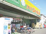 ジャパン 針中野店（1248m）