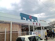 ホームセンターコーナン 片町店（457m）