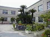東大阪市立石切小学校（719m）
