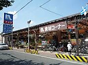 ホームプラザナフコ 南江口店（1013m）