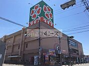 ライフ 杭全店（353m）