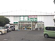 業務スーパー 中百舌鳥店（665m）