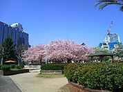 中之島公園（1394m）