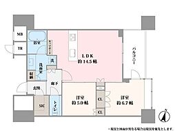 パークコート文京小石川ザタワー 2LDKの間取図画像
