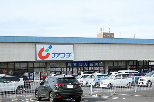 画像27:【ドラッグストア】（株）カワチ薬品 千渡店まで808ｍ