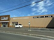 DZマート（ダイゼンマート） 北見とん田店（216m）
