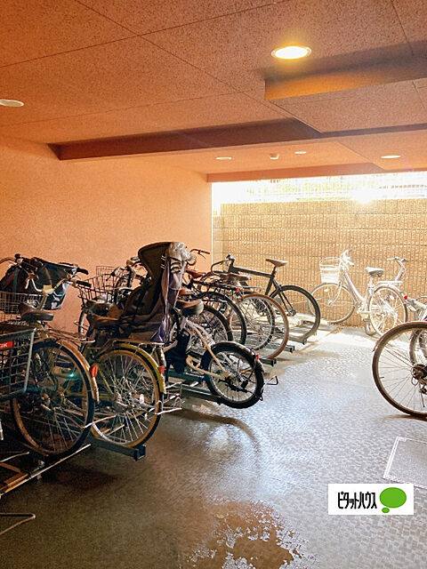 21 / 24