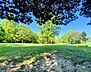 周辺：鹿子公園■緑いっぱいの自然に囲まれた公園です。お父さんの休日には運動用具をもってキャッチボールしたり、サッカーしたりと幅広い遊びを可能にしてくれます。 550m