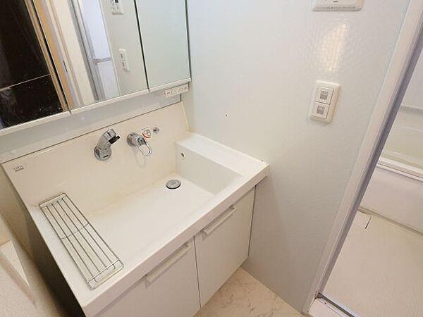 画像8:スペースが確保できる洗面所です