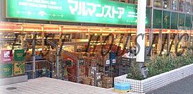 東京都新宿区三栄町（賃貸マンション1K・1階・23.10㎡） その21