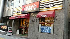 東京都渋谷区本町５丁目（賃貸アパート1R・2階・19.34㎡） その16