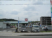 コメリハード＆グリーン 石部店（1554m）
