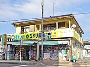 ミドリ薬品大竜店 1420m