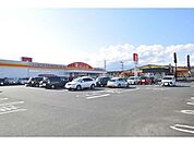 ダイレックス鹿屋店 775m