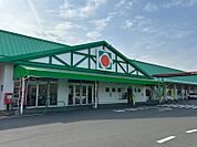 サンキュー隼人店 351m