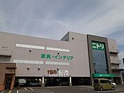 ホームセンター「ニトリ　松本高宮店まで600m」