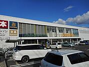 レンタルビデオ「ＴＳＵＴＡＹＡ  東松本店まで1300m」