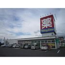 ドラックストア「ドラッグナカジマ塩川店まで781ｍ」