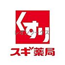 スギ薬局西天満店 541m
