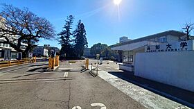 グロ・ブニシャ 206 ｜ 高知県高知市若草町15-29-2（賃貸マンション1K・2階・19.25㎡） その4