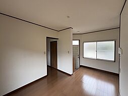 ツインサルビア