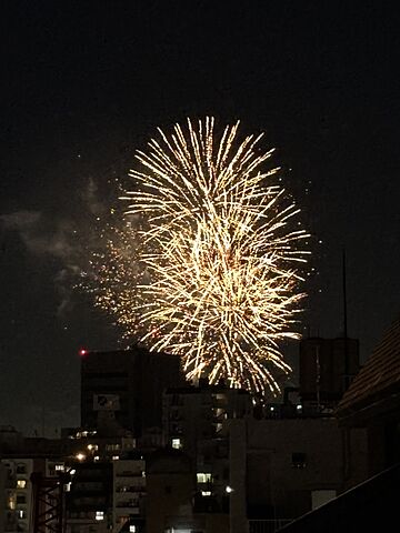 バルコニー コスモ元浅草 10階/-