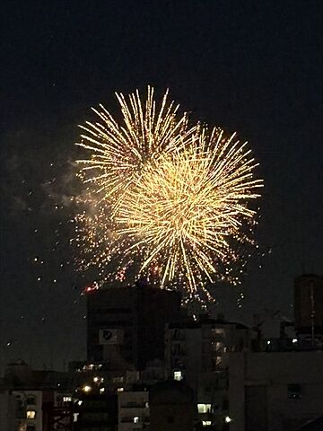 周辺 コスモ元浅草 10階/-