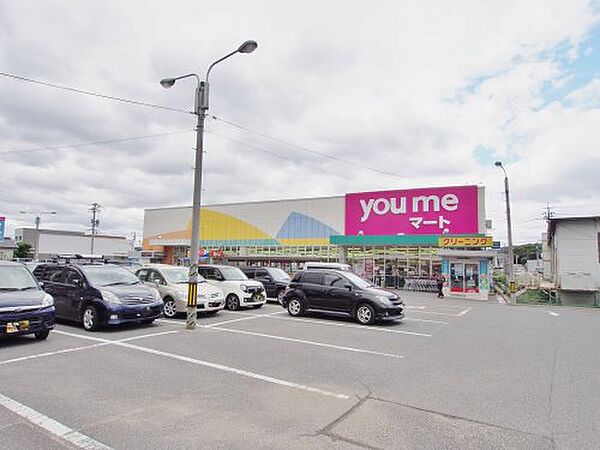 フォレストリバー ｜広島県広島市安佐南区八木9丁目(賃貸アパート1LDK・2階・41.30㎡)の写真 その25