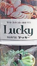 ビレッジハウス私部  ｜ 大阪府交野市私部８丁目（賃貸マンション2LDK・1階・49.20㎡） その15