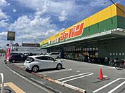 ジャパン 枚方長尾店（1812m）