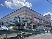 トップワールド香里ケ丘店（593m）