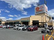 おおさかパルコープ ながお店（447m）