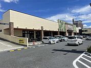 FREST（フレスト） 長尾店（259m）