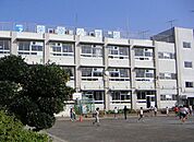 葛飾区立柴原小学校 701m