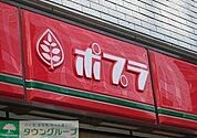ポプラ 443m